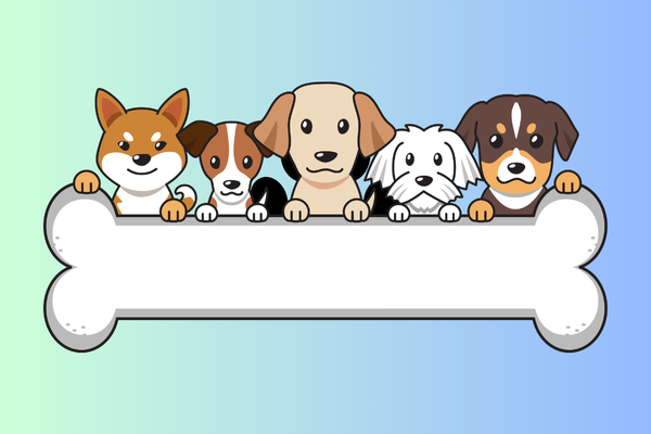 Tudo Que Voc Precisa Saber Sobre A Ra o Do Seu Pet Kintoria